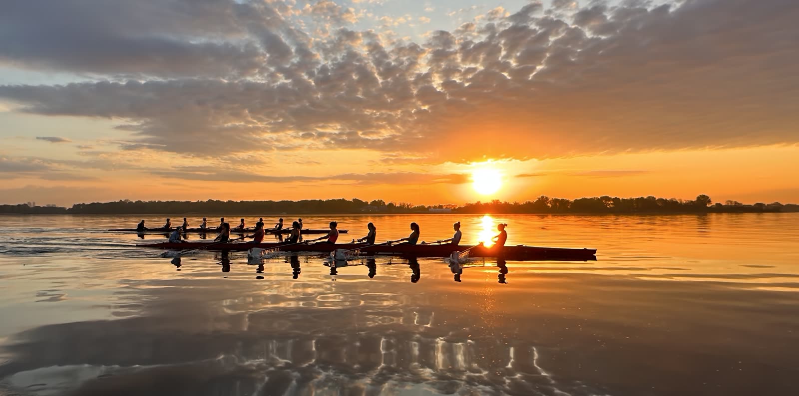 Golden sunrise row